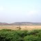 near Gannavaram  8525.