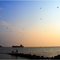 A very nice evening