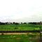 Nice grass field near bachupally