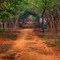 red road - hakimpet - devil's photography