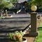 Carmela Winery.