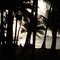Corbyn's Cove Beach Port Blair