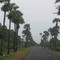 Highway