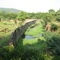 Vandalur Zoo-Near Bengal Tiger