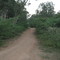 Unamaucheri-Road to top of the hill