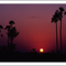 sunrise with birds passing by © weggi.ch