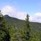 Camel Hump , Vermont