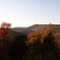 Foliage from South Hill Road