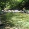 New Haven headwaters