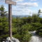Bald Mountain Summit