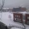Snow in March