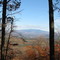 View from Bench on Wright's Mt.