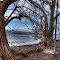 Secluded Cove