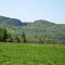 "Big Hollow", Crown Point, NY  05/11/2012