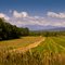Giant Mountain (Adirondacks) from US Route 7