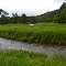 Looking Upstream at Lewis Creek