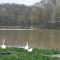 Lake Hollybrook