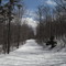Nice Day on Catnap