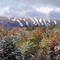 First Snow
