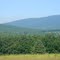 vermont summer!