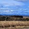Adirondacks from Plank Road