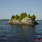  Carleton  Prize