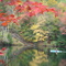 Vermont - painted nature