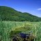West Rutland Marsh by Theresa