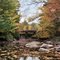 Lefferts Pond (Chittenden, Vermont, USA)