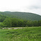 Merck Forest and Farm
