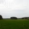 Shelburne Farms