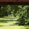 water under the bridge or find the snoozing turtle