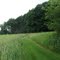 under goose hill