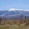 Mt Mansfield in Spring