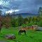 Vermont Scenery