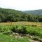 Chelsea, VT