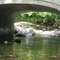 middle of the stream