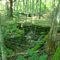old foundations