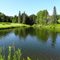 Pond