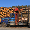 Blue Log Truck - Townshend VT