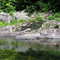 Rock River in Vt.