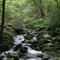 Stream in Townsend State Park