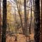Newfane Hill remnants