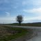 Paulding County, Ohio Farm Land
