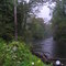 Saxtons River