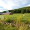 Cambridgeport farm