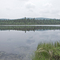 Moose Bog, Wenlock Wildlife Management Area