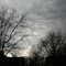 81320738_8607fa839a_o