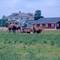Farm at Prophets Town