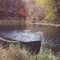 Wildcat Creek, Tippecanoe County Indiana